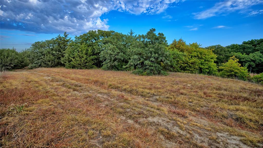 Tbd Starkey Road Property Photo 12