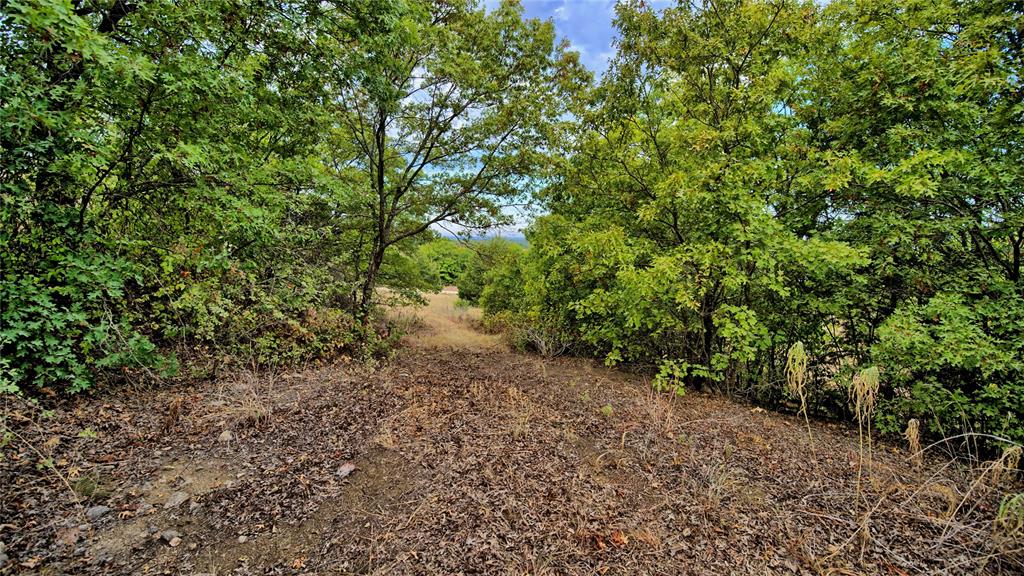 Tbd Starkey Road Property Photo 13