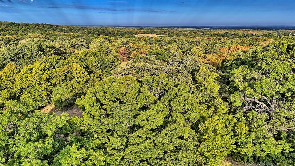 Tbd Starkey Road Property Photo 14