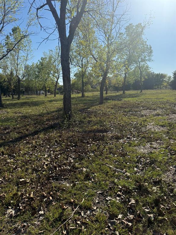 126 Sunrise Court Property Photo 7