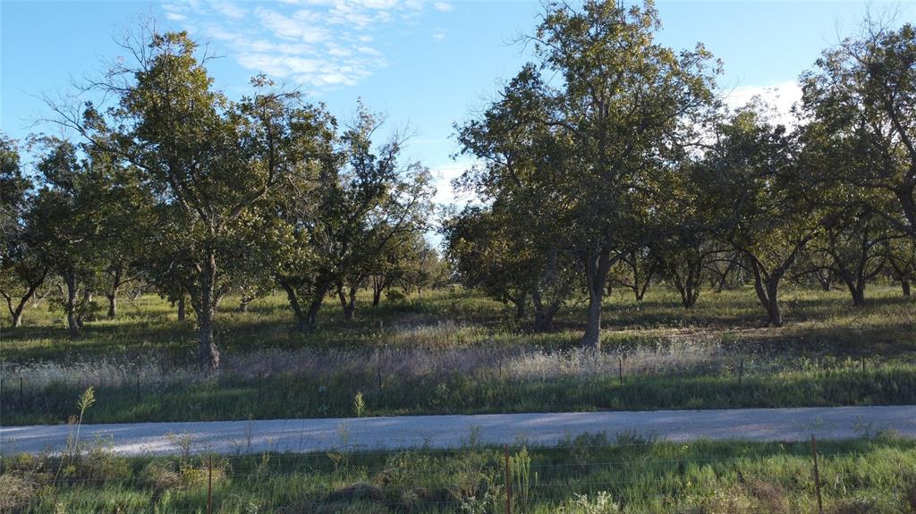 Lot 4 County Road 461
