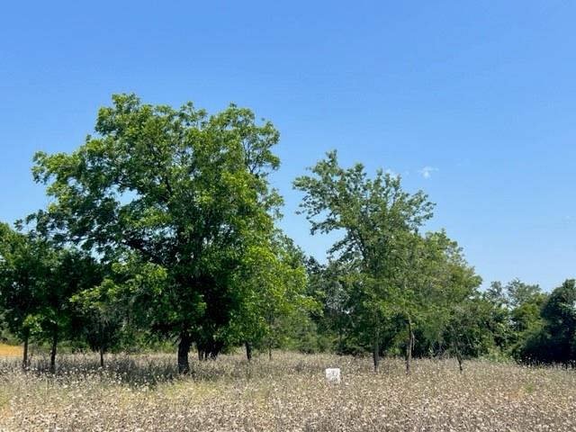 Lot 24 Pr 6332 Property Photo 3