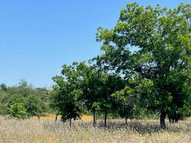 Lot 24 Pr 6332 Property Photo 5
