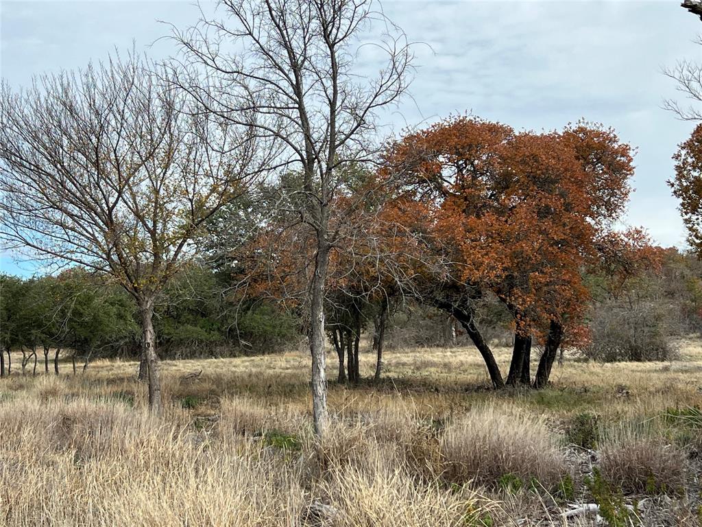 Lot 24 Pr 6332 Property Photo 6