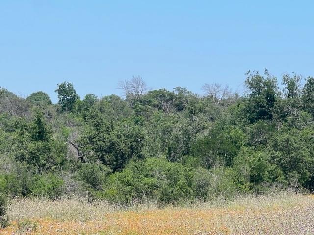 Lot 24 Pr 6332 Property Photo 7
