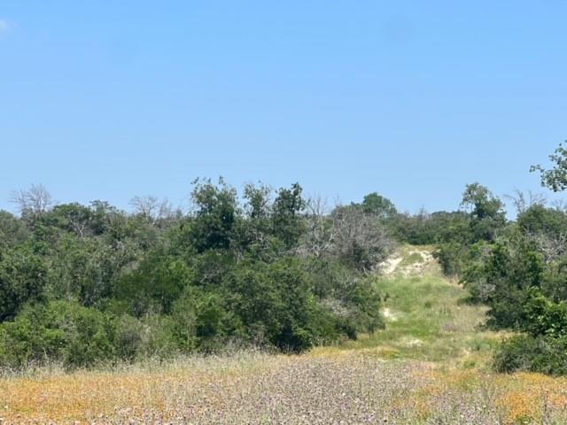 Lot 24 Pr 6332 Property Photo 8
