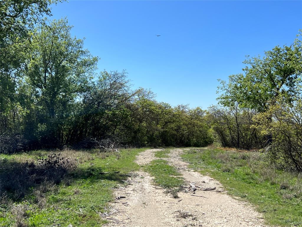 Lot 24 Pr 6332 Property Photo 14