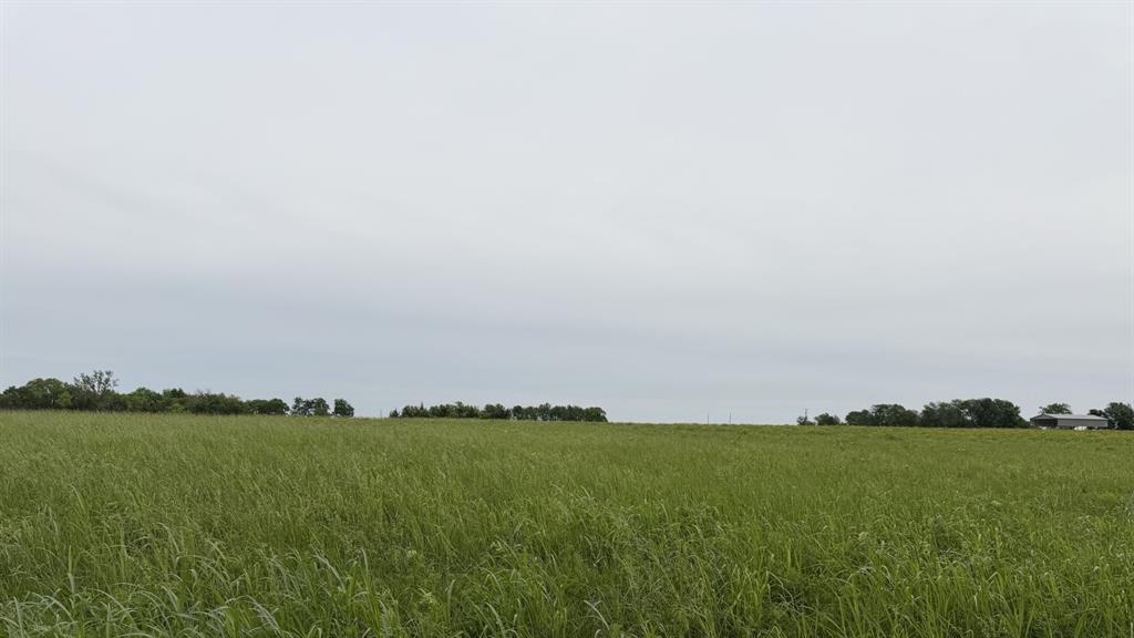 Tbd Fm 114 Property Photo 1