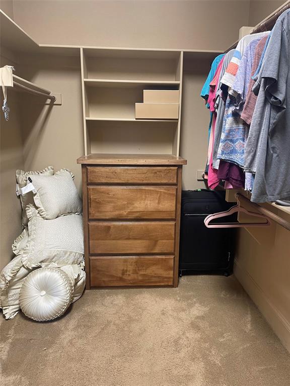 124 True Grit Court Property Photo 16