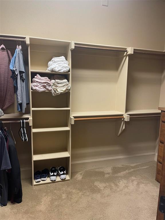 124 True Grit Court Property Photo 17