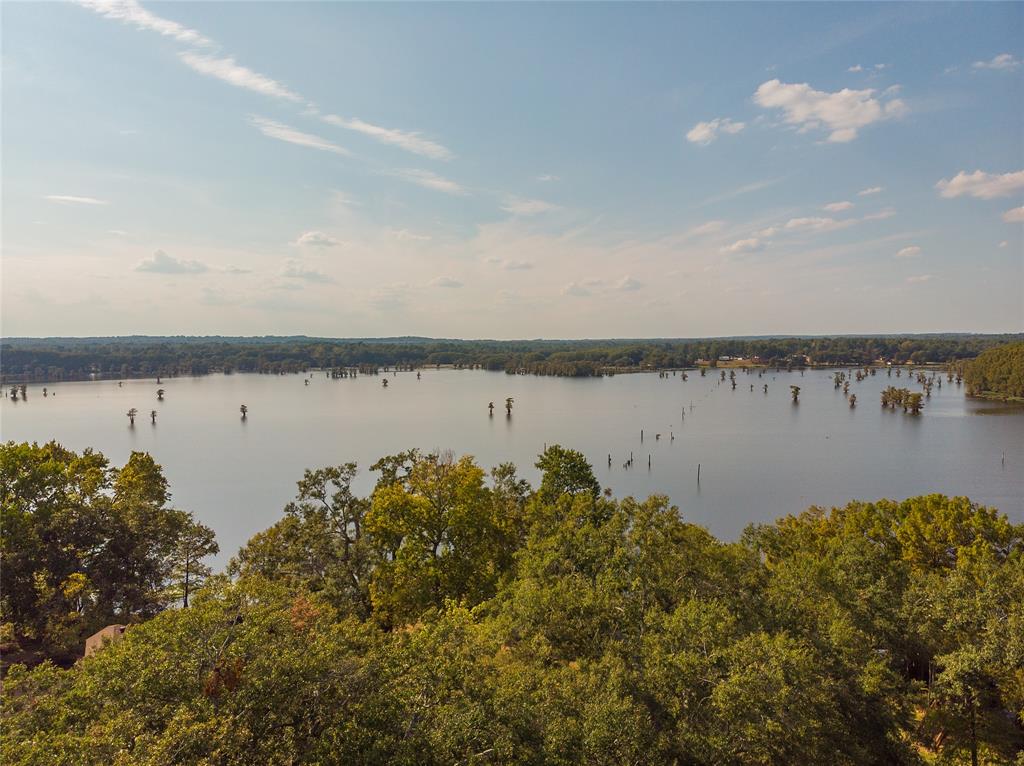 10070 Plum Point Road Property Photo 3