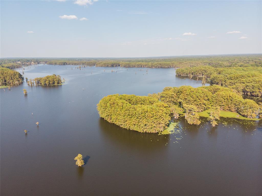10070 Plum Point Road Property Photo 6
