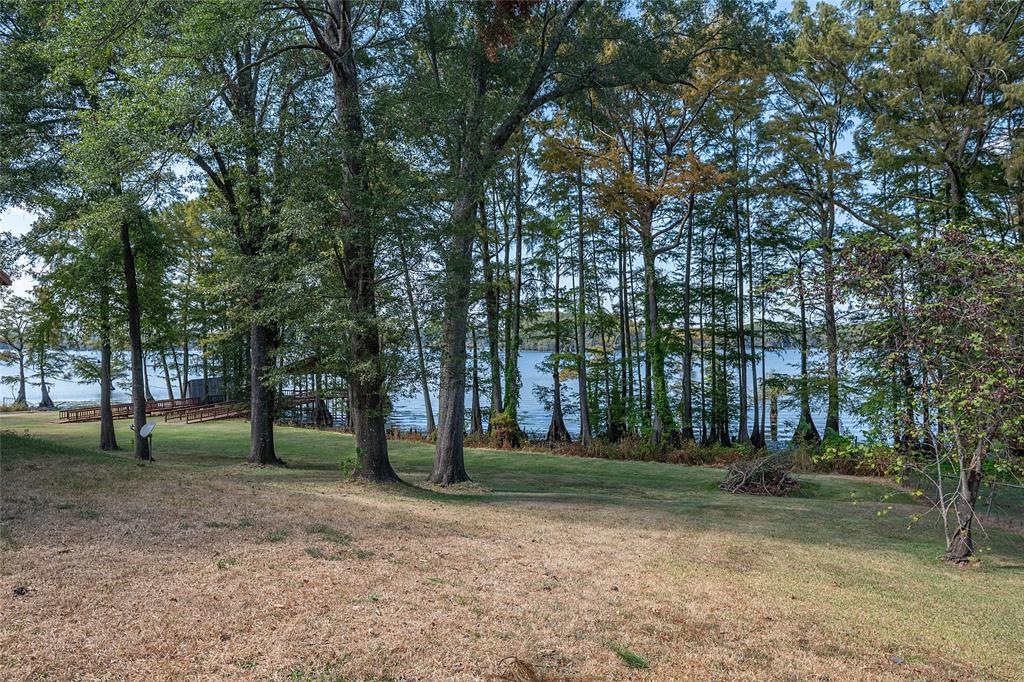 10070 Plum Point Road Property Photo 22