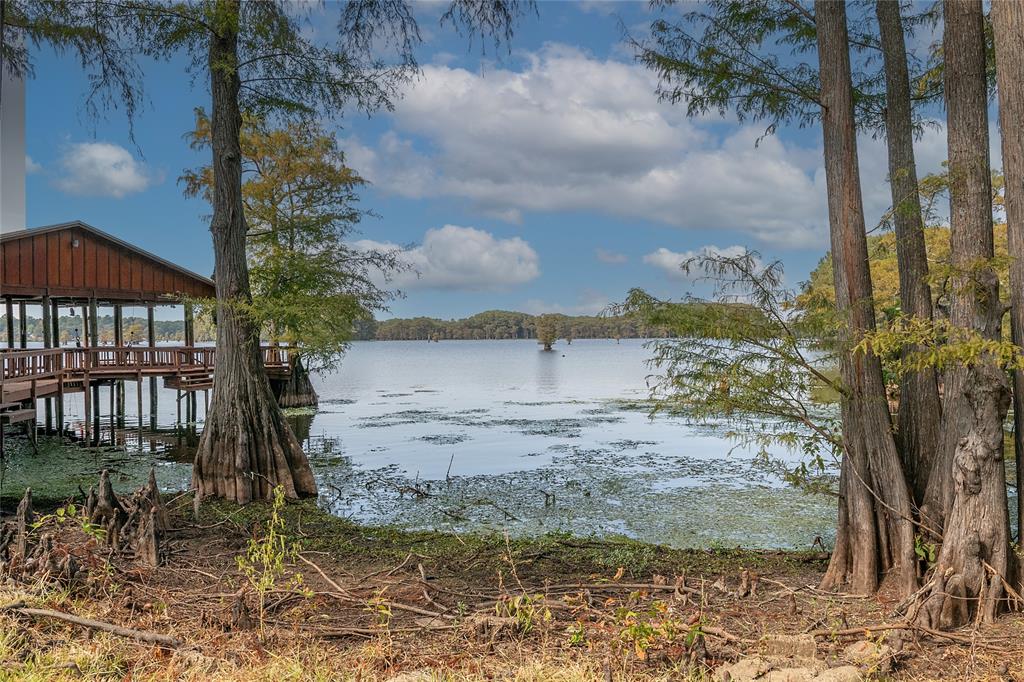10070 Plum Point Road Property Photo 24