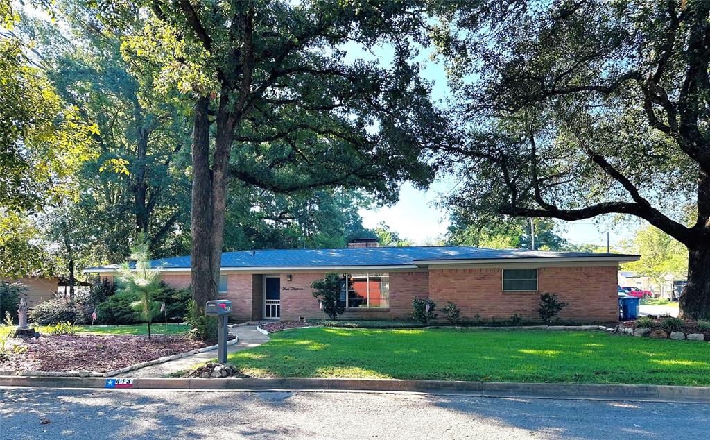 413 Davis Drive Property Photo 1