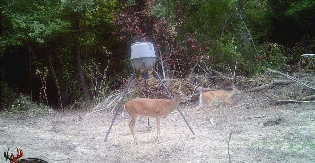 0 Windy Pines Property Photo 17