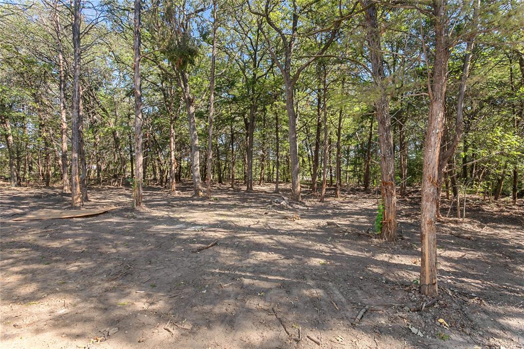 16333 County Road 339 Property Photo 35