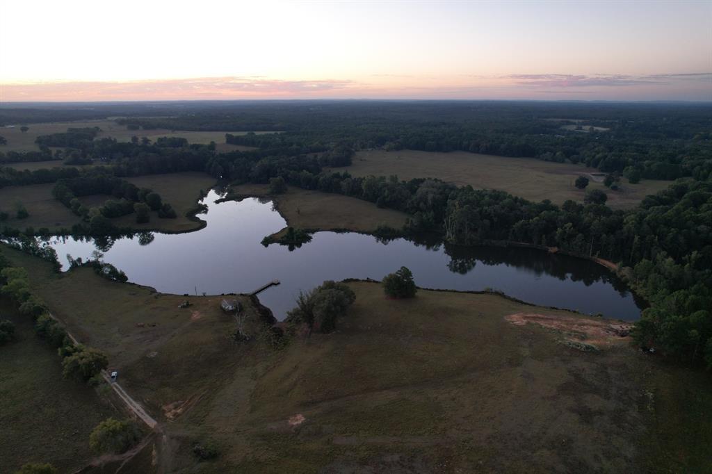 Tbd County Road 483 Property Photo 1