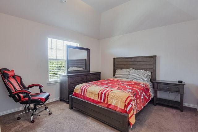 909 Heath Creek Drive Property Photo 30