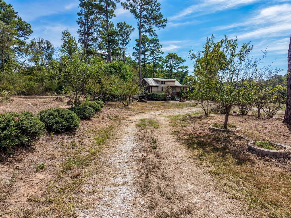 128 County Road 4849 Property Photo 2