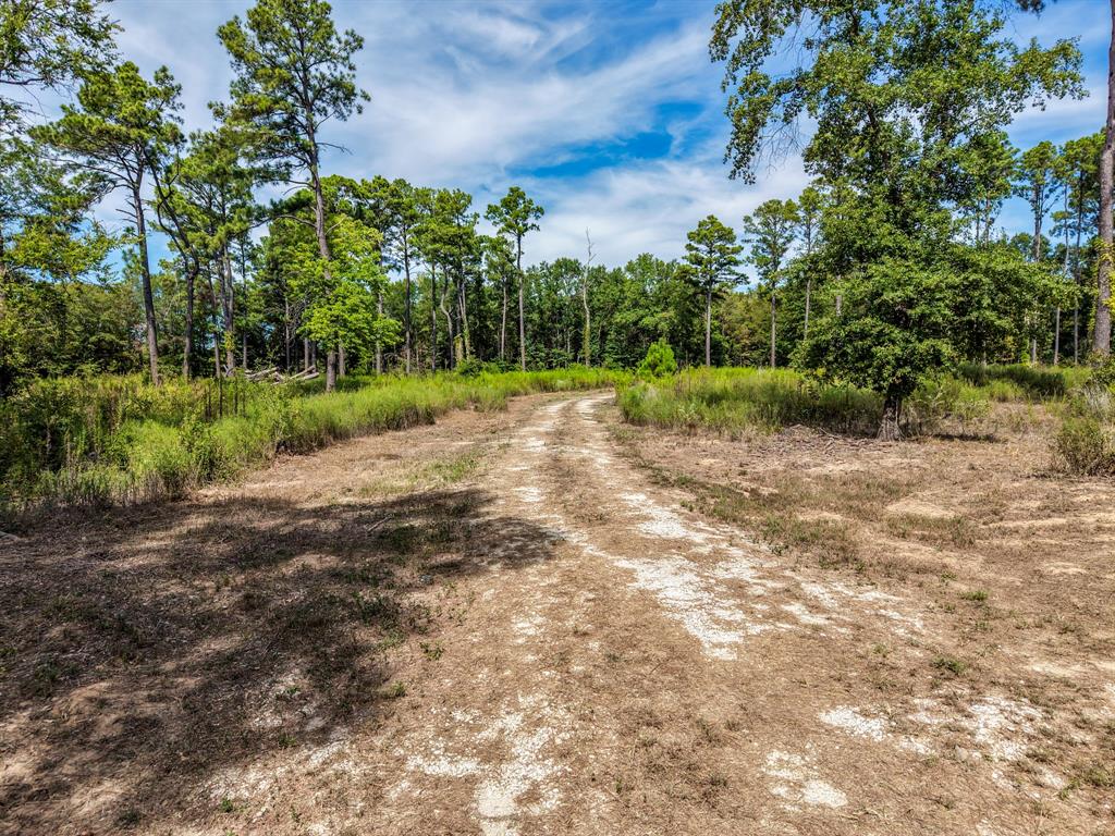 128 County Road 4849 Property Photo 9