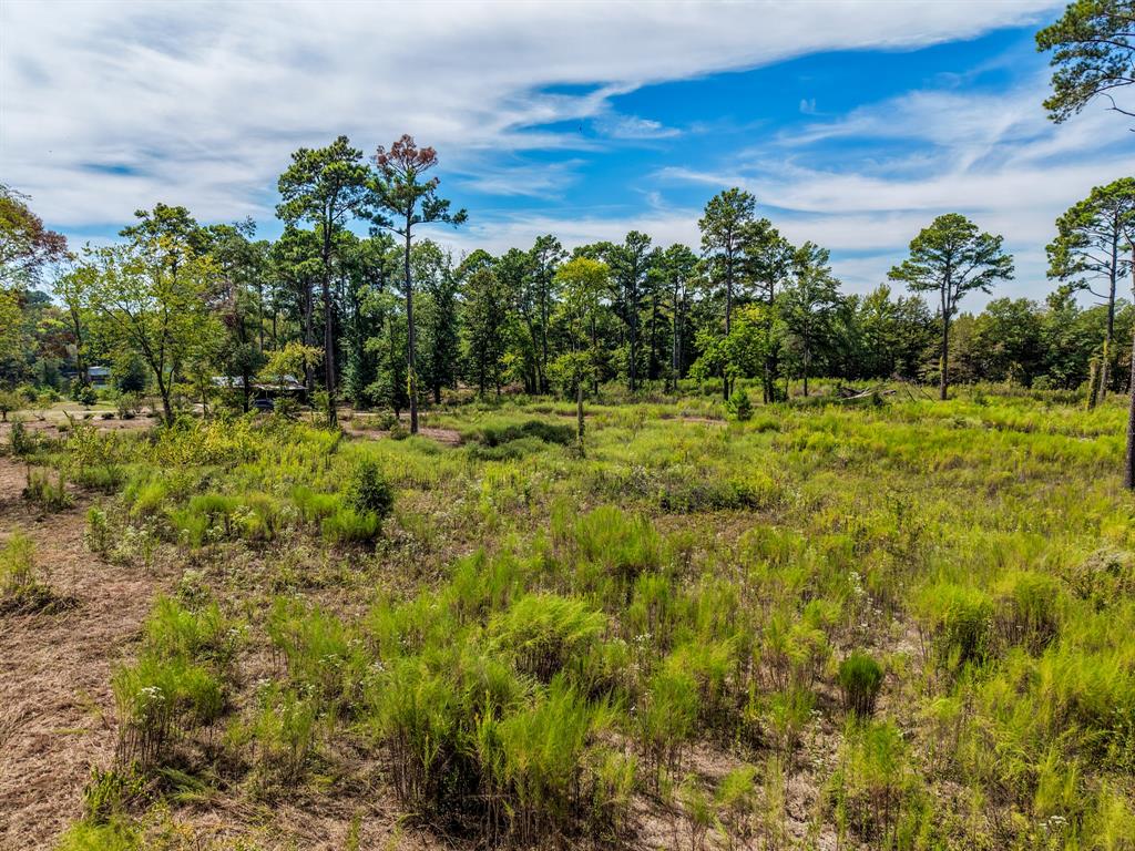128 County Road 4849 Property Photo 14