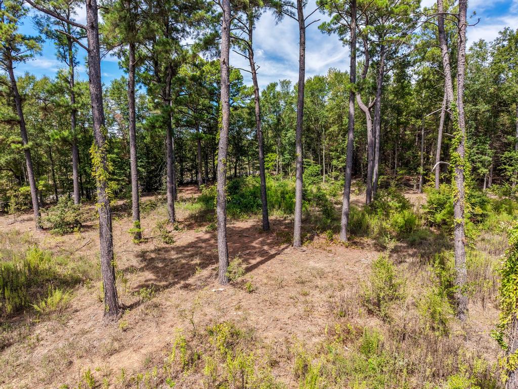128 County Road 4849 Property Photo 15