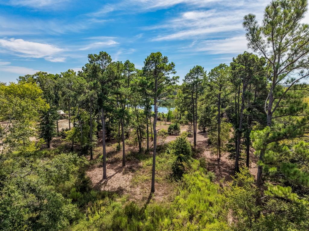 128 County Road 4849 Property Photo 16