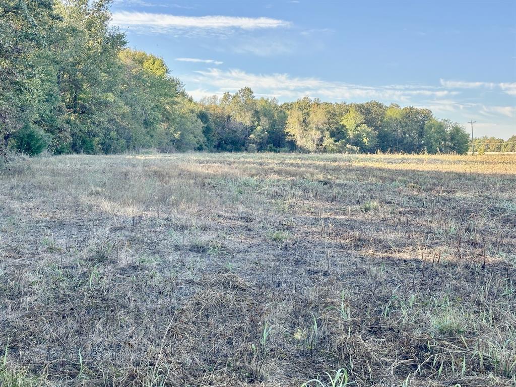 3221 Us Hwy 271 S Property Photo 4