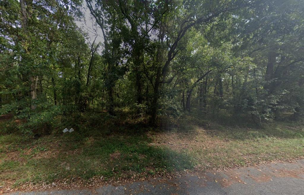 Tbd Southshore Drive Property Photo 2