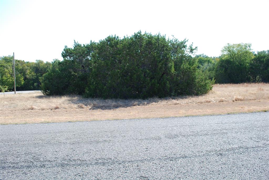 19064 White Bluff Drive Property Photo 1
