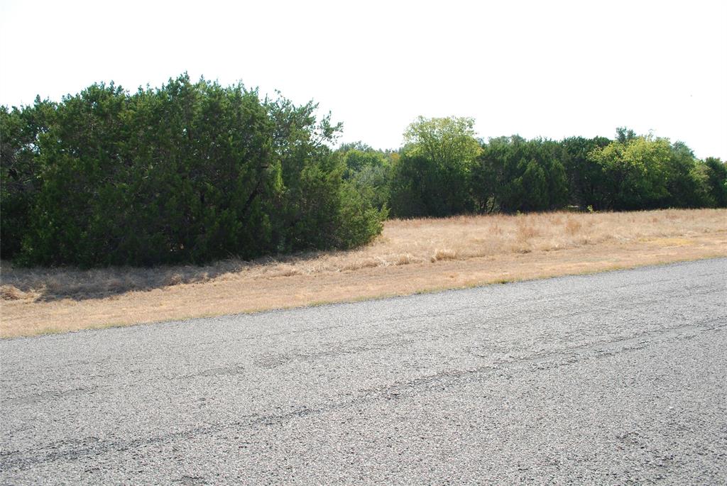 19064 White Bluff Drive Property Photo 2