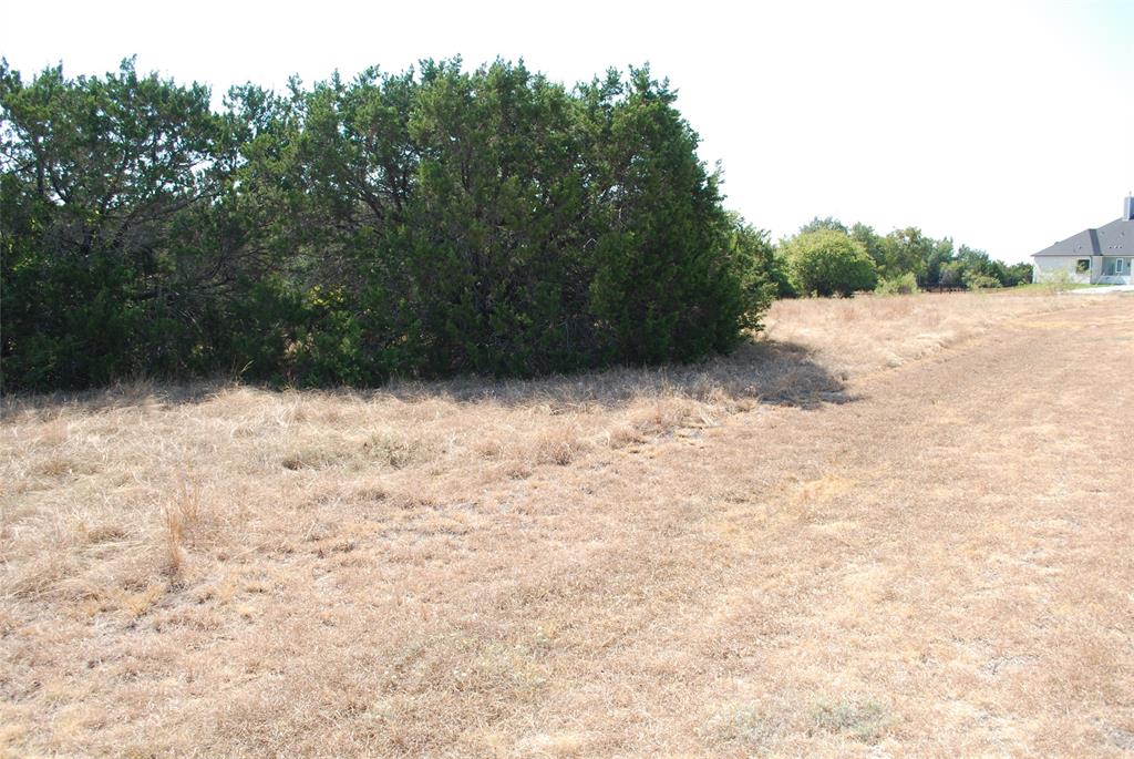 19064 White Bluff Drive Property Photo 3