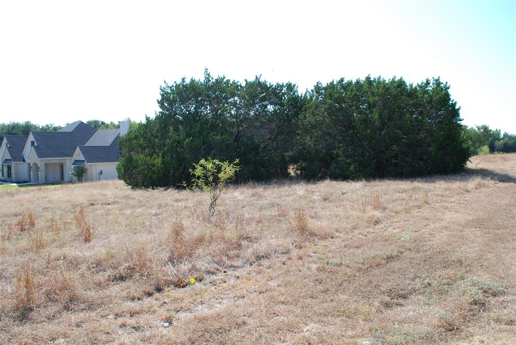 19064 White Bluff Drive Property Photo 4
