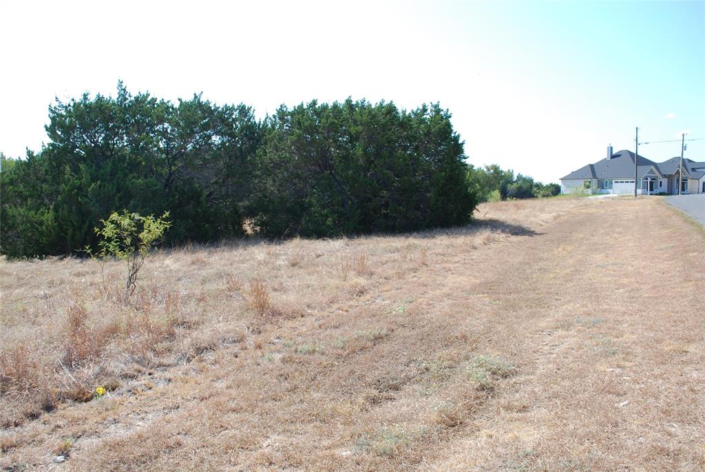 19064 White Bluff Drive Property Photo 5