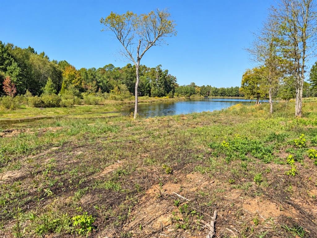15997 Fm 2015 Property Photo 1
