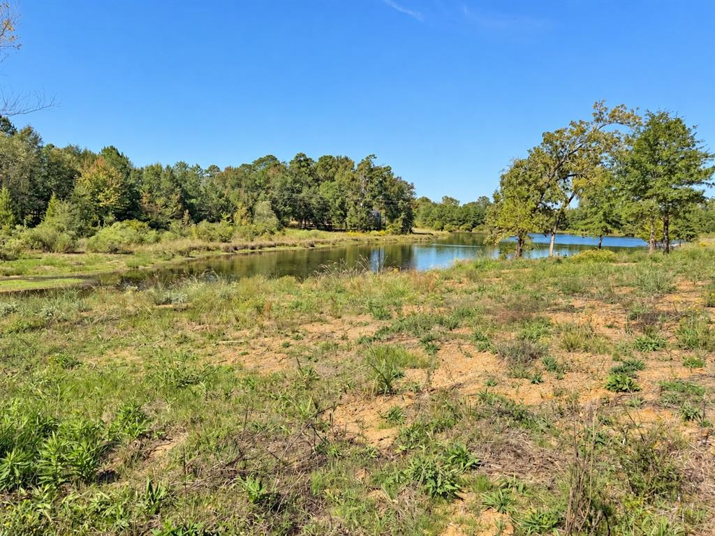 Tbd Fm 2015 Lot A Property Photo 1