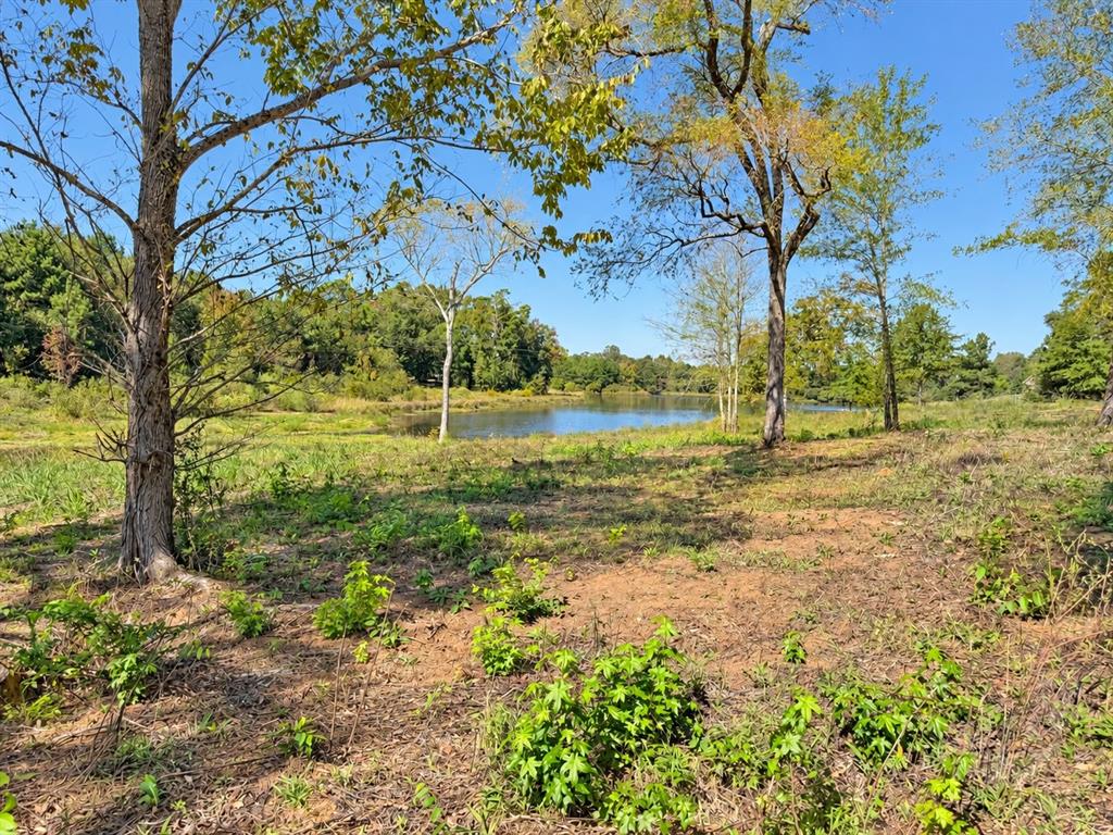Tbd Fm 2015 Lot B Property Photo 1