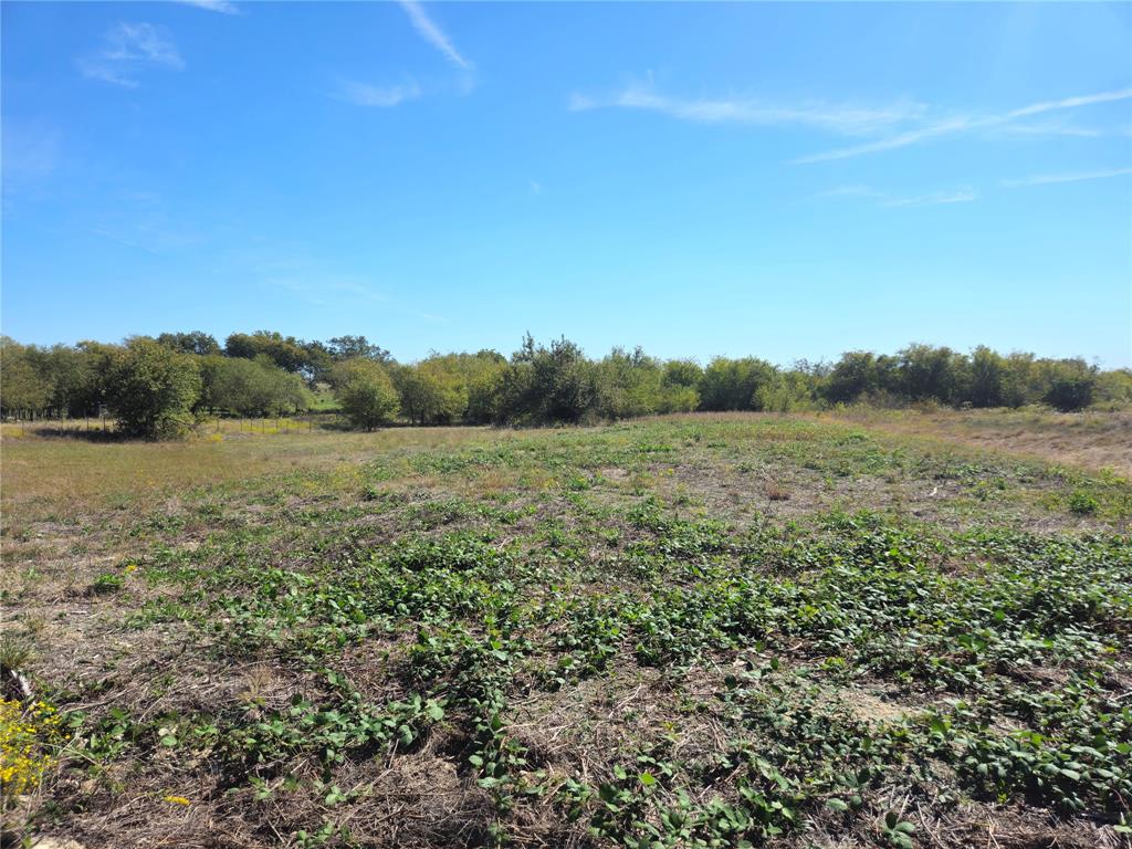 22 Longview Creek Trail