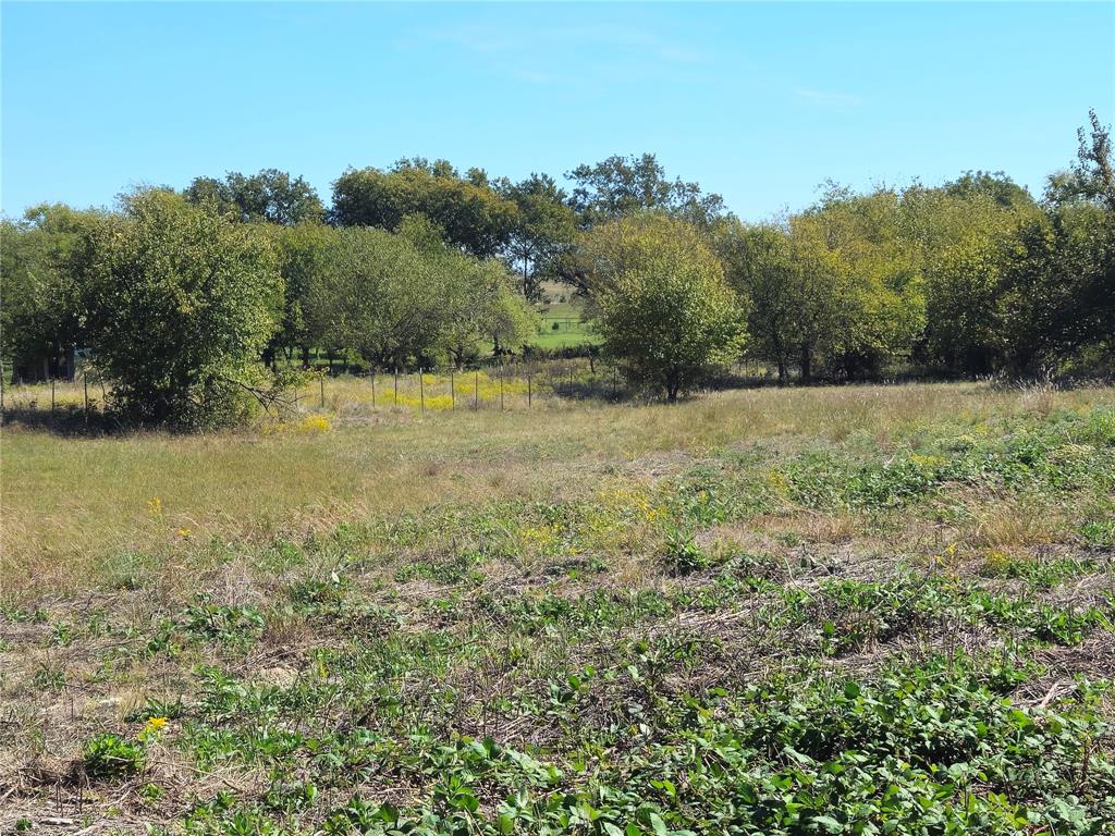 22 Longview Creek Trail Property Photo 10