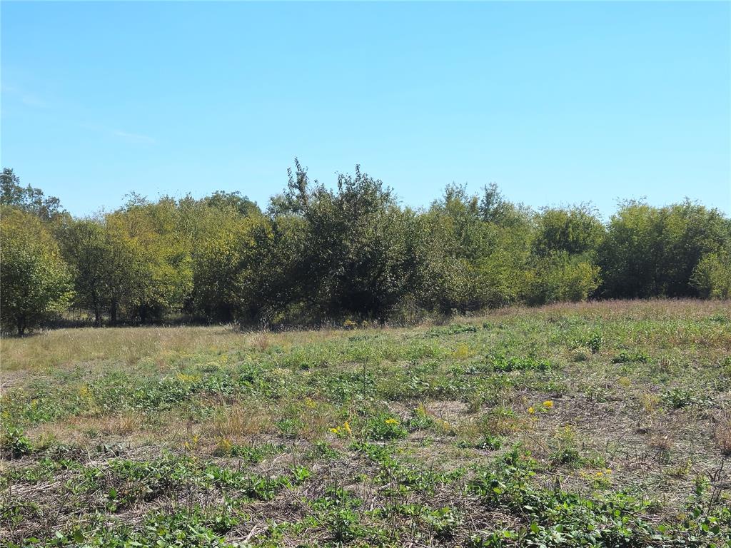 22 Longview Creek Trail Property Photo 12