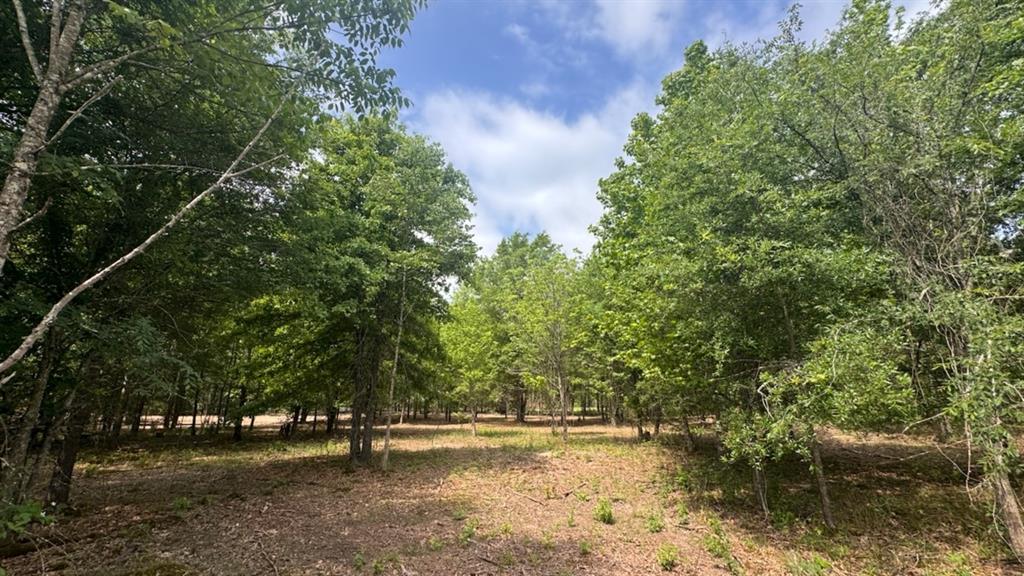 825 Cr 1412 Property Photo 1
