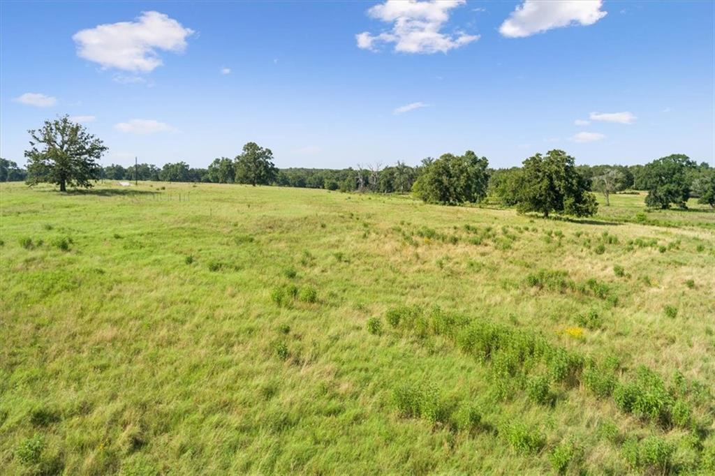 Tbd Lcr 707 Property Photo 3