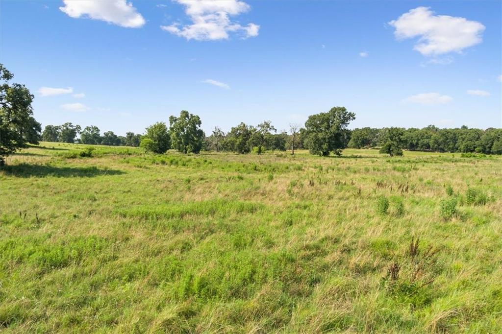 Tbd Lcr 707 Property Photo 12