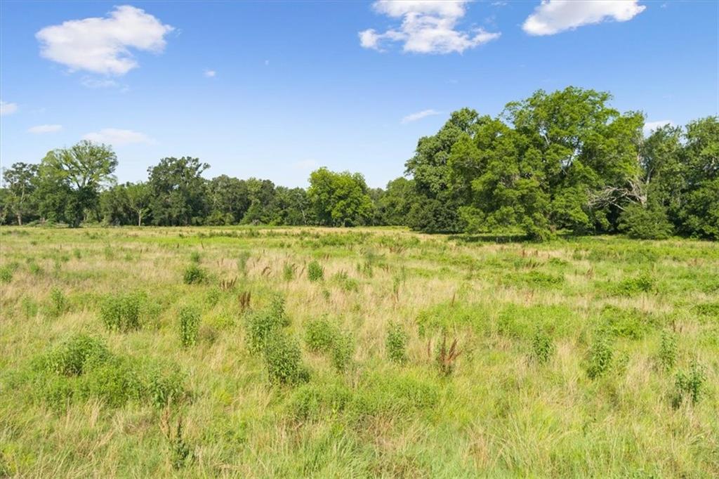 Tbd Lcr 707 Property Photo 13