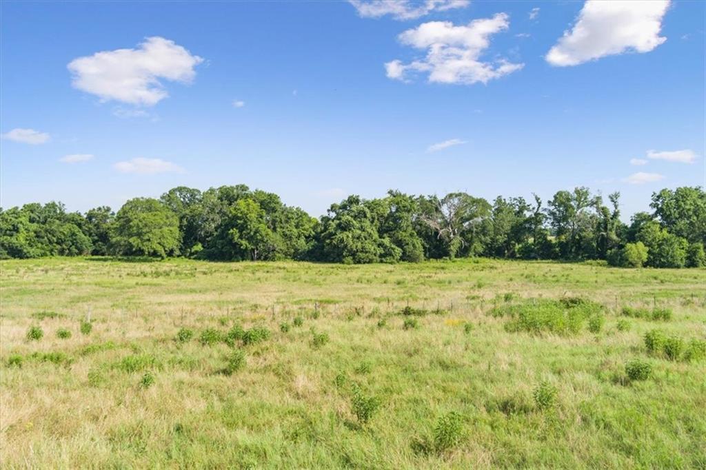 Tbd Lcr 707 Property Photo 15