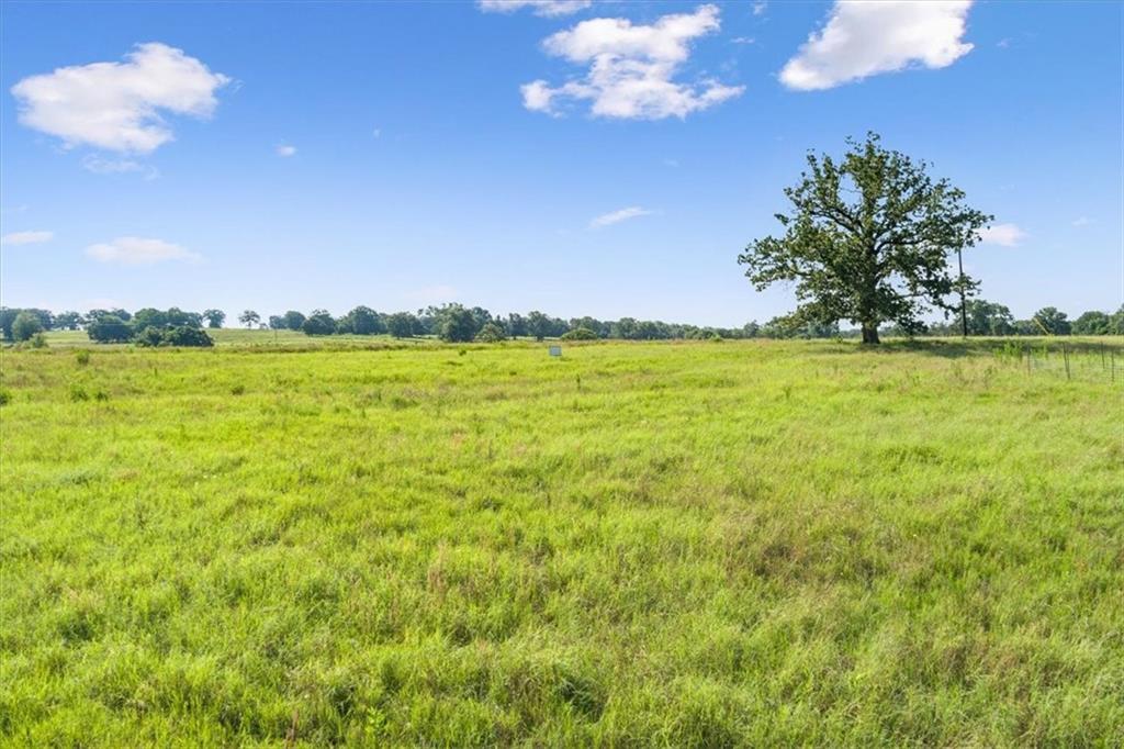 Tbd Lcr 707 Property Photo 16