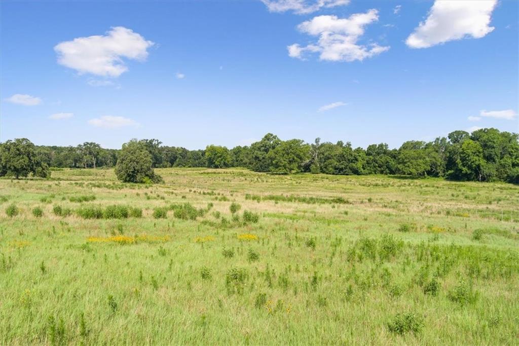 Tbd Lcr 707 Property Photo 18