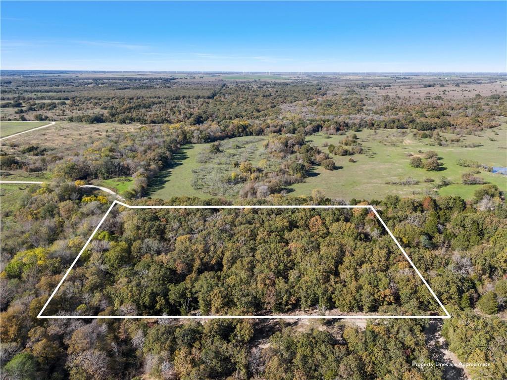 343 Us Hwy 190 Property Photo