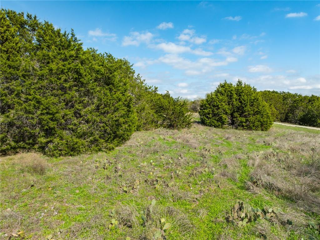 11082 Briarwood Drive Property Photo 16